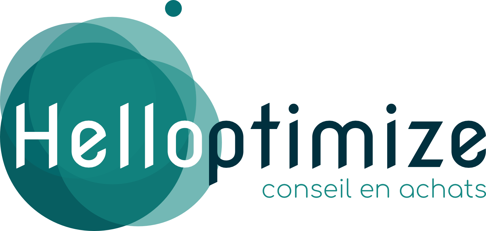logo helloptimize conseil en achats